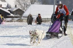 Lenk 2012 SM